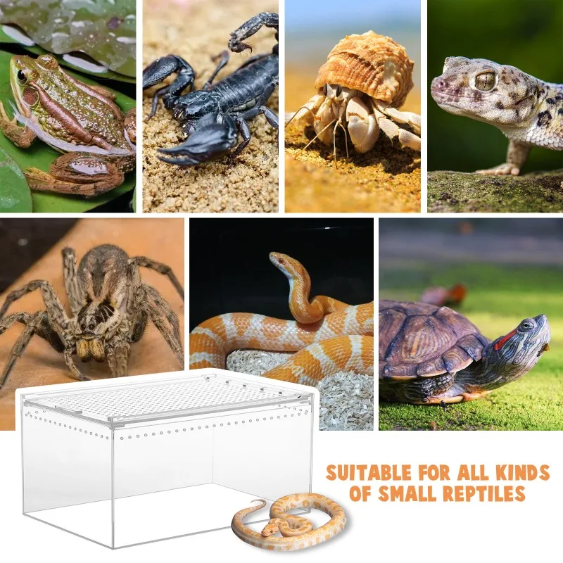 8*4*4 Inch Thickened Acrylic Reptile Enclosure Ventilated Breeding Box For Spider Gecko Horned Frog Lizard