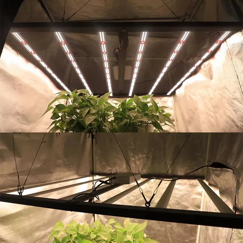 

Супер высокая эффективность полного спектра 720 Вт 1000 Вт светодиодный светильник для выращивания растений гидропонные фонари для тепличных растений