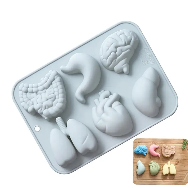 Human Organs Silicone Molds Heart Liver Stomach Kidney Brain Fondant Mold DIY Chocolate Candy Halloween Cake Decorating Tool