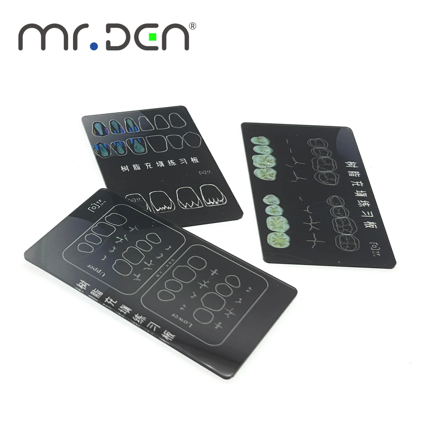 Picture 3: High Fidelity Dental Resin Filling Practice Board with Realistic Teeth Structure for Dentist Training and Skill Improvement