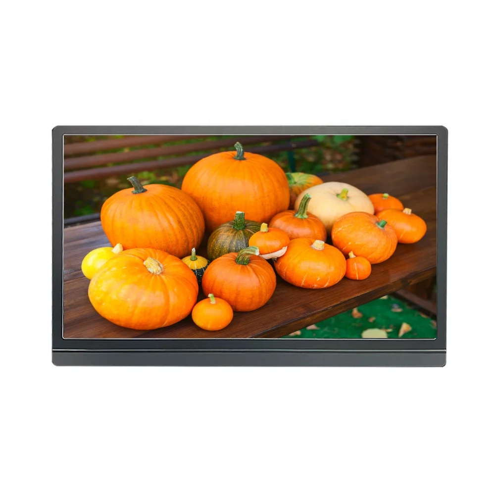 15.6 Inch Laptop Monitor Portable LCD Screen Extender Multi Screen Business Laptop & Computer Single Screen Office Travel