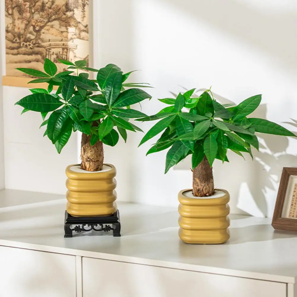 Desktop Green Plant Pot Hydroponic Flower Pot with Self-watering System Decorative Pe Planter for Indoor Plants Minimalist