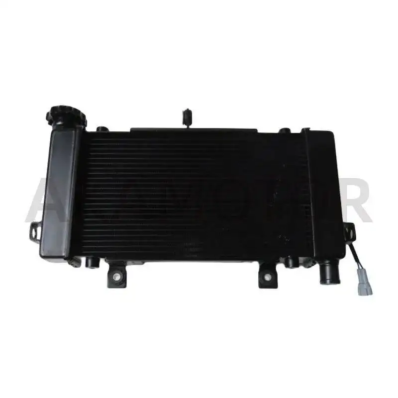 Water Tank Radiator Assembly For Loncin Voge 525r Lx500-r