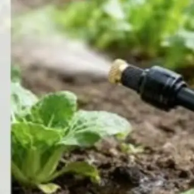 Garden Misting Nozzle 1 4 Inch Irrigation Nozzle Adjustable Spray Pattern Robust Brass Copper Hassle-free Setup