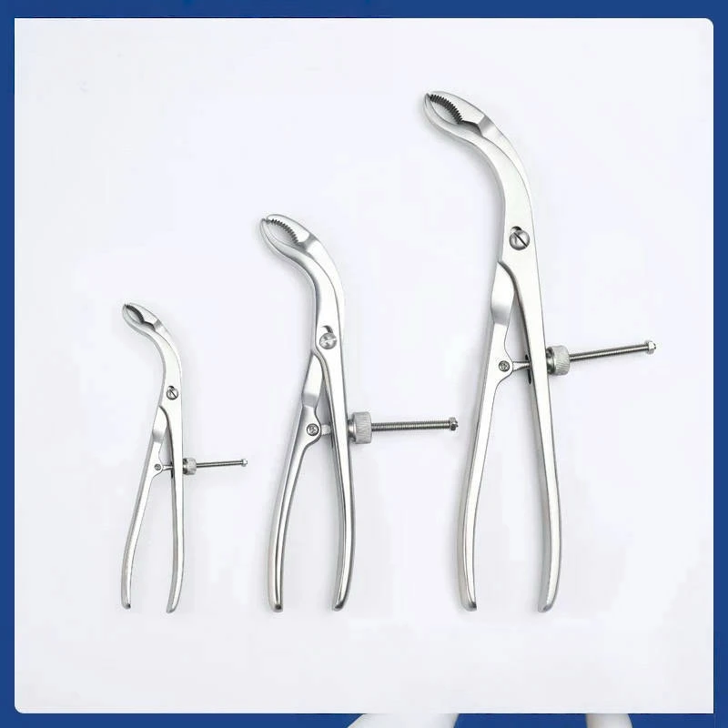 Orthopedics Teeth in the Head Fora Surgical Instrument - Secure Grip Centering Bone Holding Forceps for Pet Care