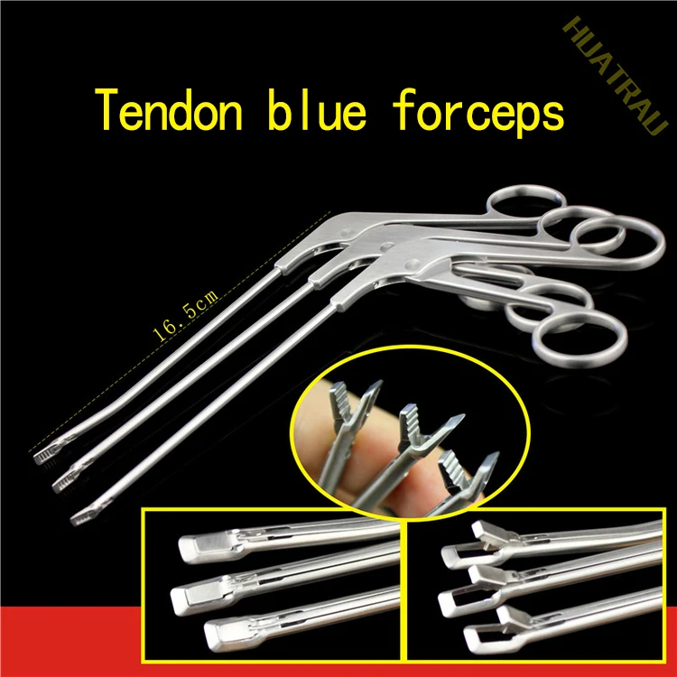 

Keywords tendon; blue forceps; endoscope; biting forceps orthopedic instruments medical sports medicine tissue removal scissors