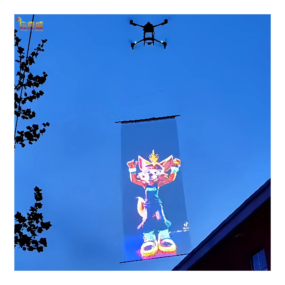 

Transparent Flying LED Display with Carpet Screen LED Film Screen for Outdoor Promotion Advertising