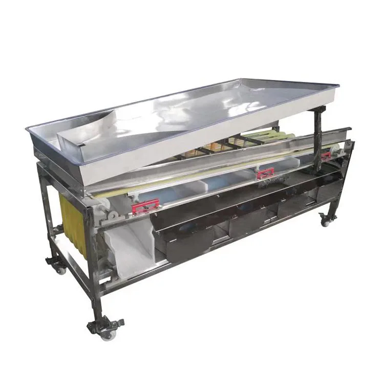 Factory Price Automatic Industrial Root Vegetable Fruit Picker Potato Grader Mangosteen Fruit Grading Machine