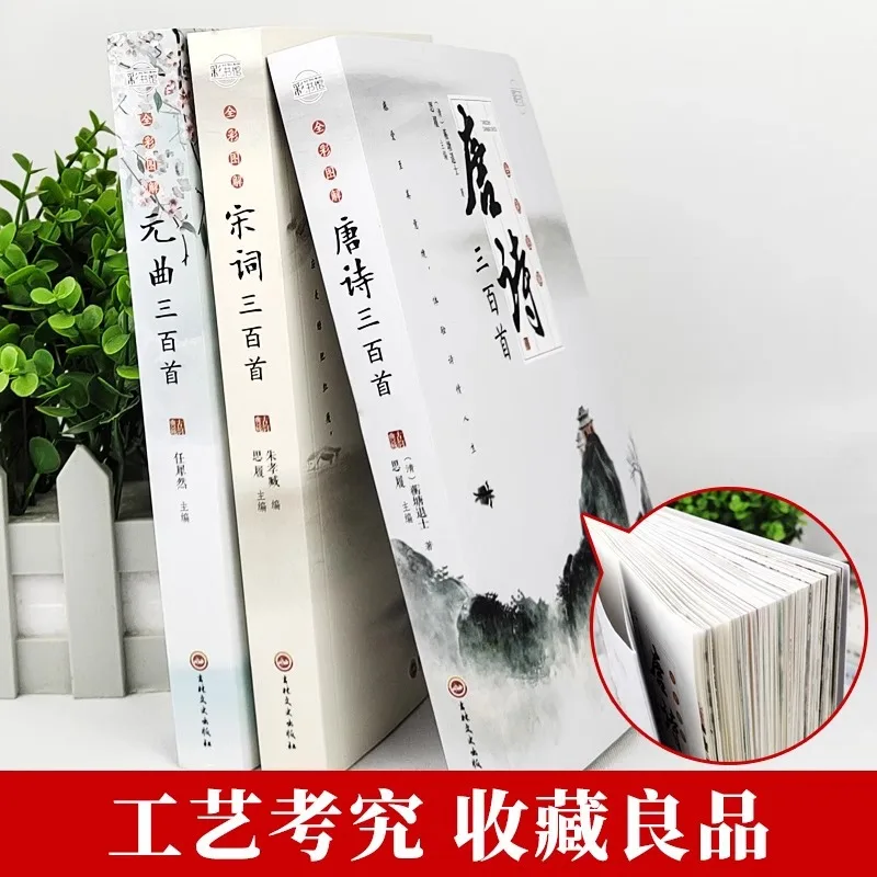 مجموعة كاملة من تقدير ثلاثة مائة قصيدة قديمة من شعر تانغ وأغنية Ci وYuan Qu #2