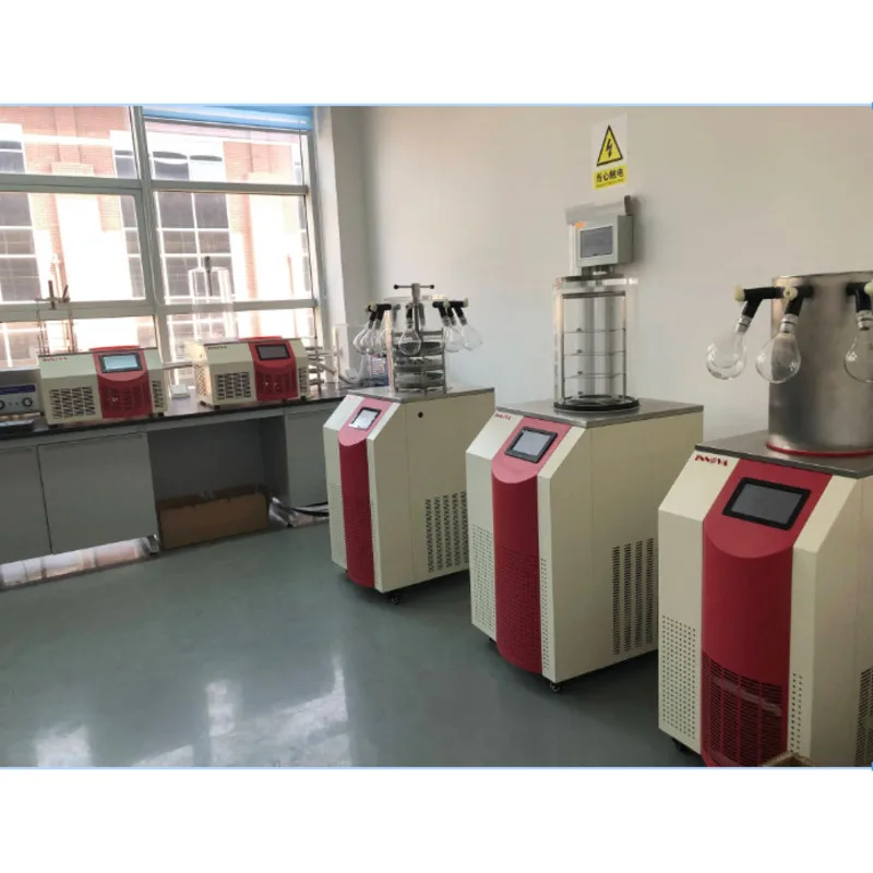 Freeze Drying Machine Small Vacuum Lab Freeze Dry Machine Home Use Mini Food Freeze Dryer Machine
