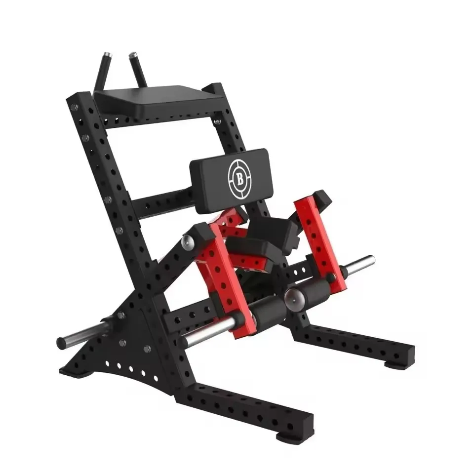 YTYIN DINUO Plate Loaded Leg Curl Leg Extension Back Combo Machine Adjustable Padded Supports Commercial Gym Leg Strength Traini
