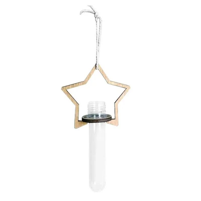 652F Wall Propagation Tube with Hanging Cord and Wooden Frame for Indoor Plant Display in Living Room or Office Use