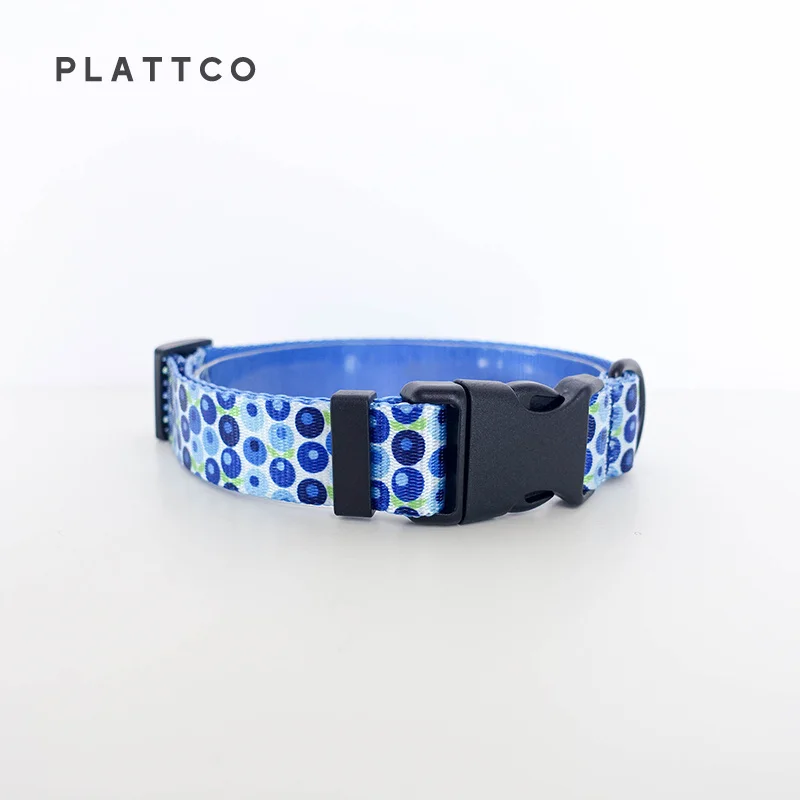 PLATTCO  nylon dog collar leash set BLUE BERRY BOX personalized collar with safety buckle for small medium large dog  PDC328