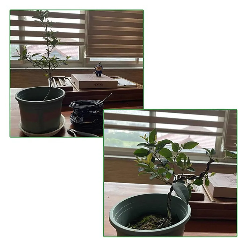 5m drut Bonsai podtrzymuje anodyzowane aluminium do ćwiczeń Bonsai dla kształtów roślin akcesoria ogrodowe 5 rozmiarów 1/1.5/2/2.5/3mm