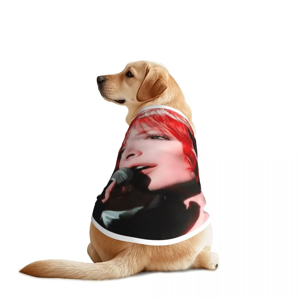 bonito-myylene-agricultor-coletes-para-animais-de-estimacao-jaqueta-respiravel-cantor-frances-grande-roupas-para-caes-decoracao-para-suprimentos-para-animais-de-estimacao