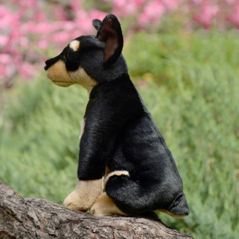 Durbin muñeco de peluche de Anime de alta fidelidad, muñeco de peluche de perro Pinscher, Doberman, simulación de animales realistas, regalo de juguete Kawai