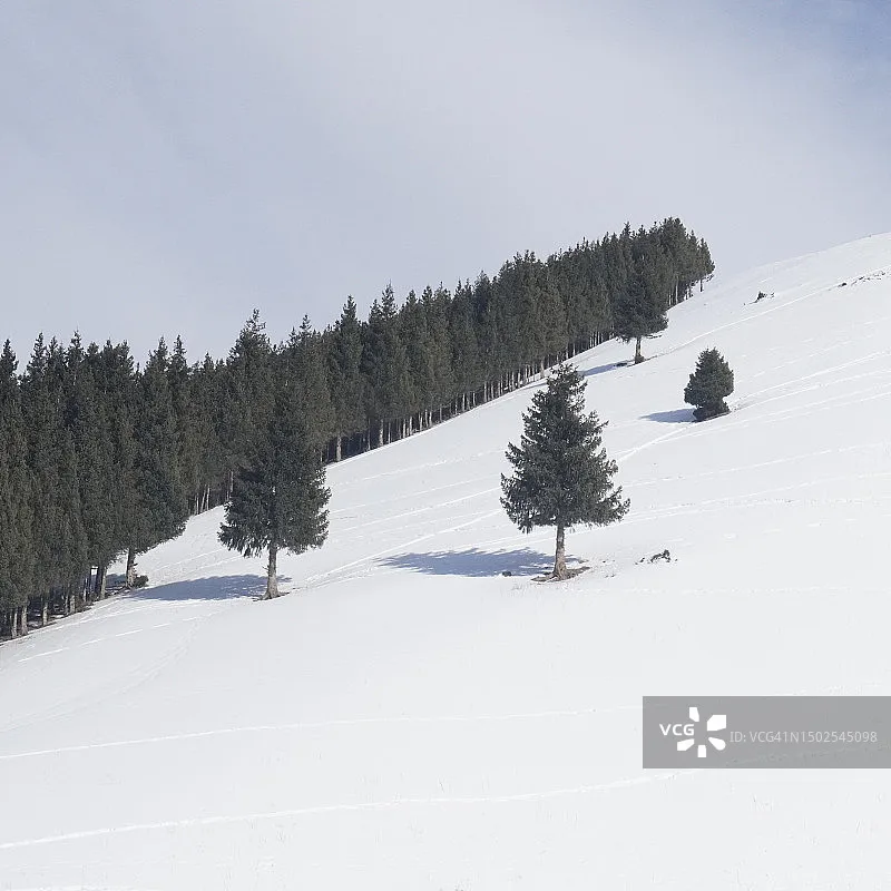 Flywoo O4 Lite Lens… - image