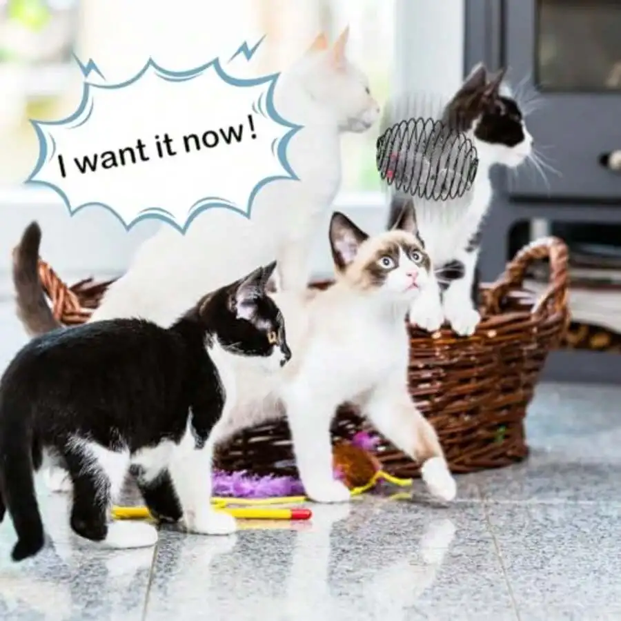 

5 Pcs Cat Spring Ball Toys Stretchable Rolling Coil Interactive Mouse Toy For Adult Cats