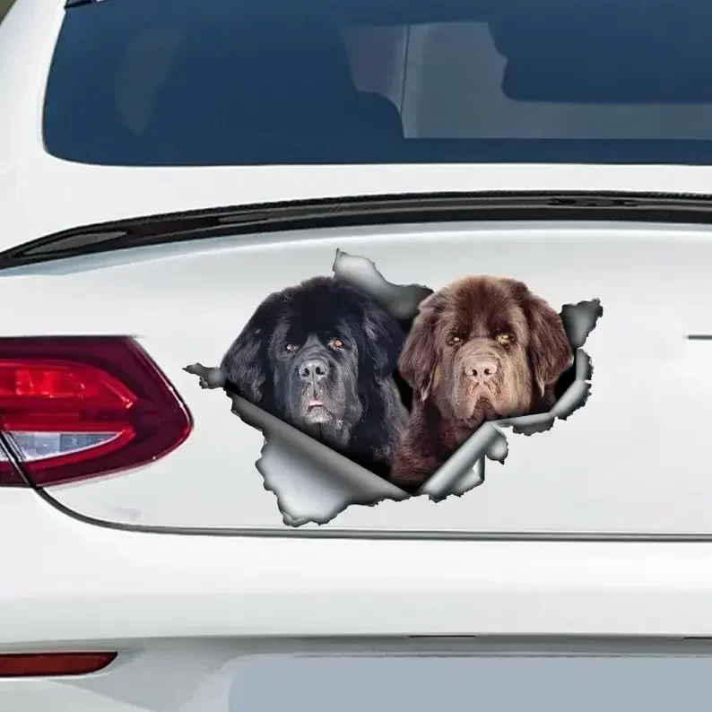 

Black and brown Newfie decal , Newfie magnet, newfie sticker, car decal