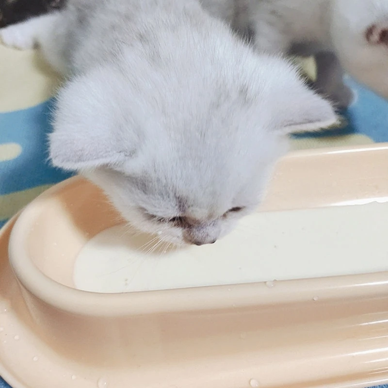 기울어진 고양이 그릇 15° 기울어진 음식 물그릇 14인치 길이의 새끼 고양이용 단일 그릇