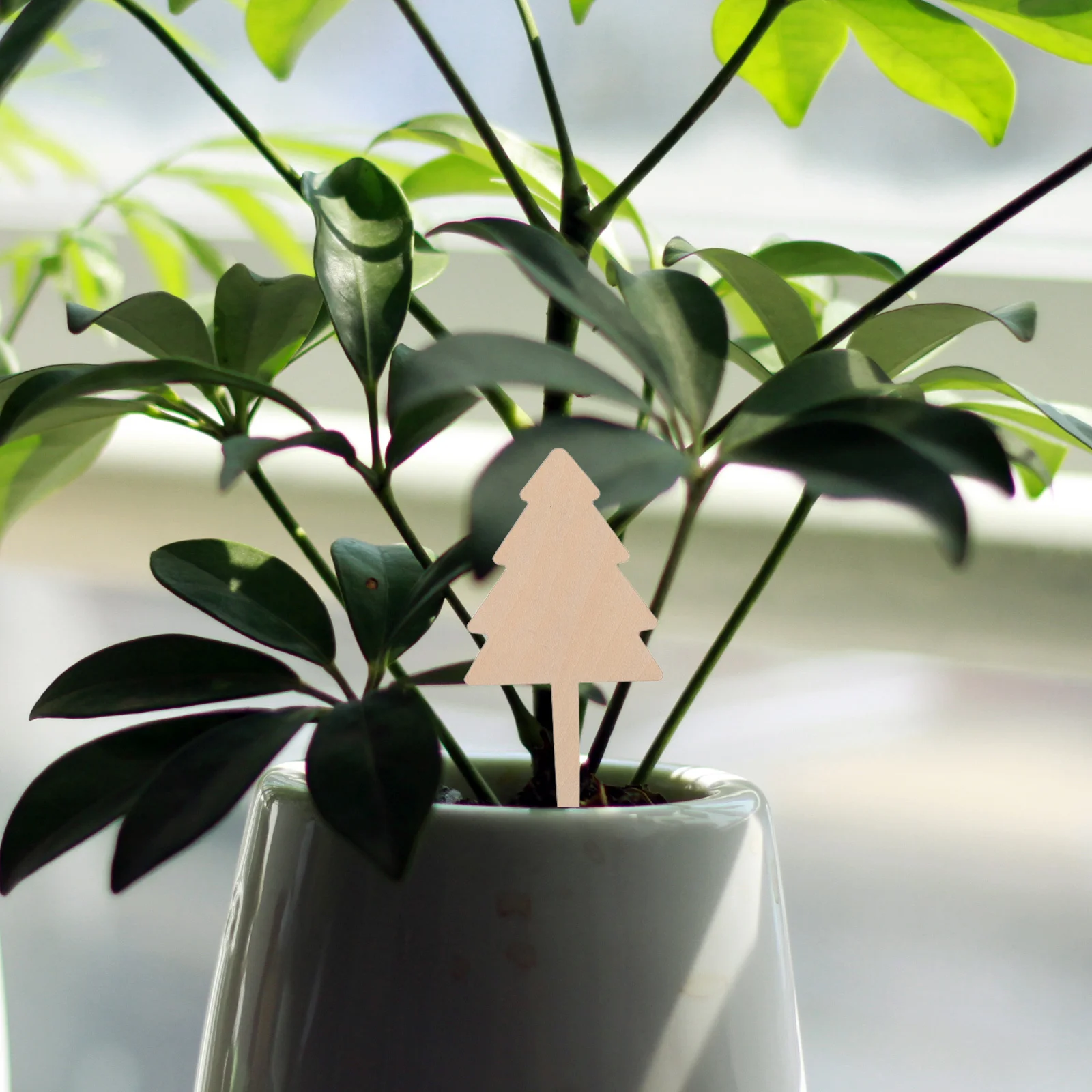 

10Pcs Christmas Tree Garden Tags Unique Design Bamboo Plant Labels Weatherproof Blank Signs for Indoor Outdoor Herbs Vegetables