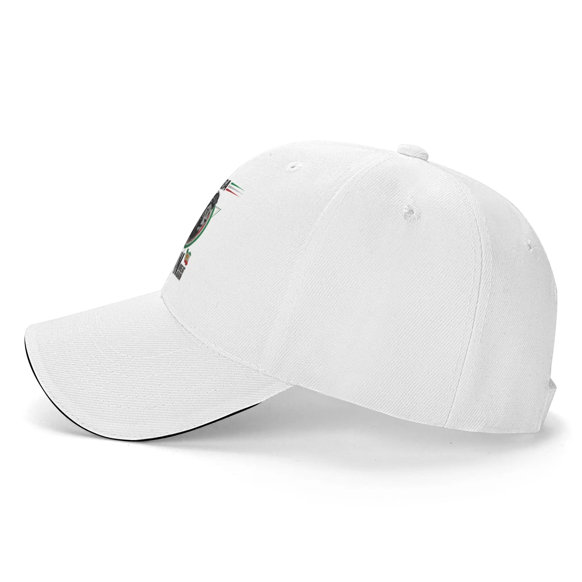 Summer Make Iran Great Again Persian Lion Artwork  Baseball Cap  Running Hippie Vintage Sun Hip Hop Hats Men Women Snapback Cap