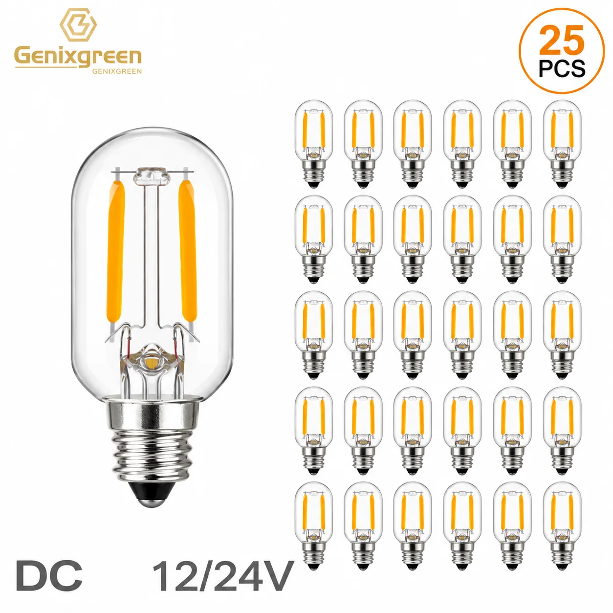 Genixgreen DC 12V 24V E14 LED Bulb T22 1W Low Voltage Tubular Filament Bulb E12 Candelabra LED Lamp RV Locomotive Room Lights