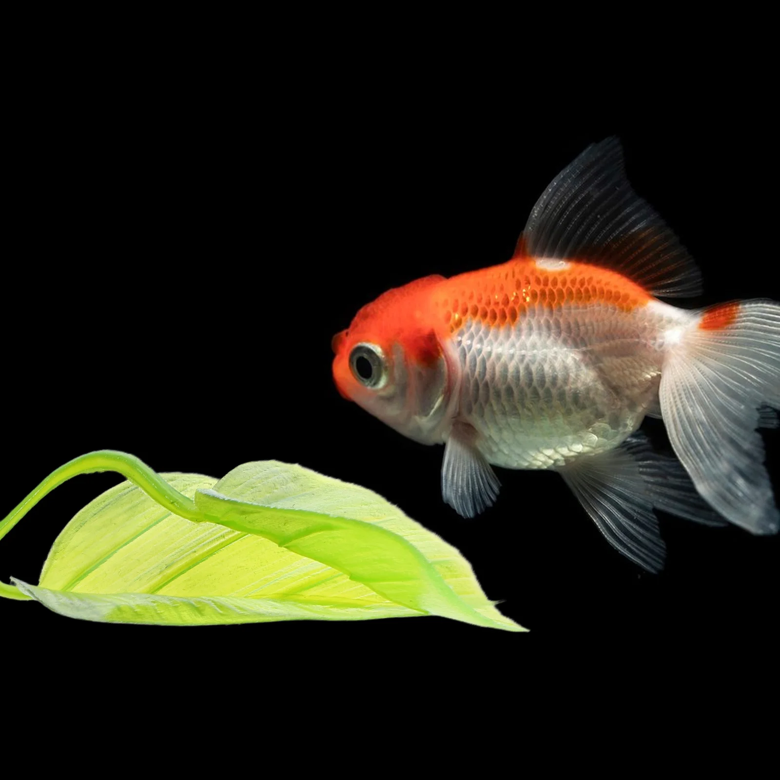 

2pcs Simulated Betta Leaves Realistic Aquarium Plants Fade Resistant Easy Clean Fish Tank Decorations For Betta Hammock Bed