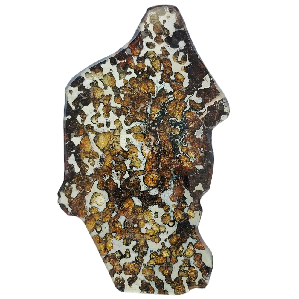 Brenham Olive Meteorite Slice Pallasite Olive Meteorite Specimen Natural Meteorite Material Specimen Collection