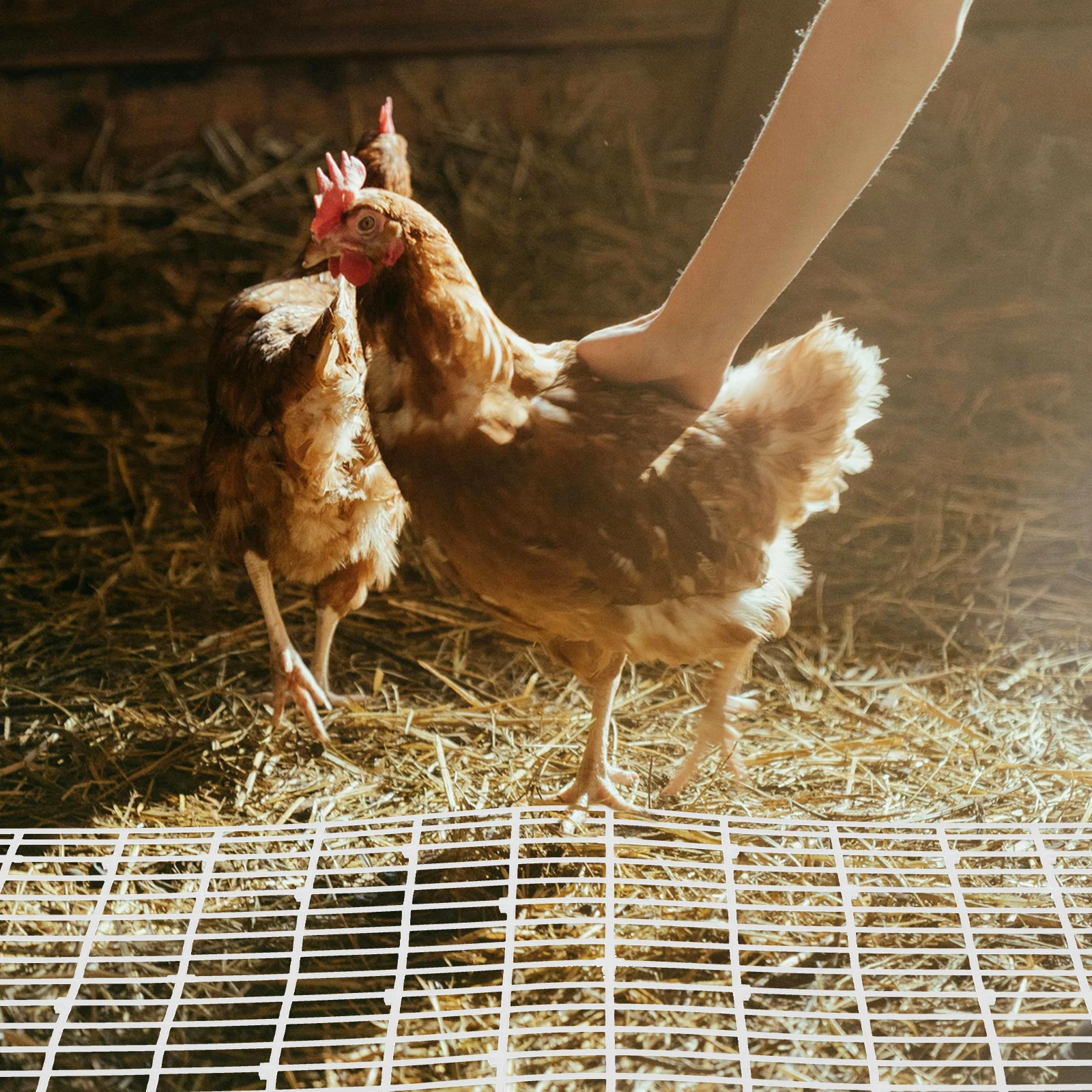 

Chicken Duck Coop Bottom Net 60x40.5cm Plastic Hole Cage Mats Pet Chicken Nesting Pad Floor Mat Small Animals Foot Pads