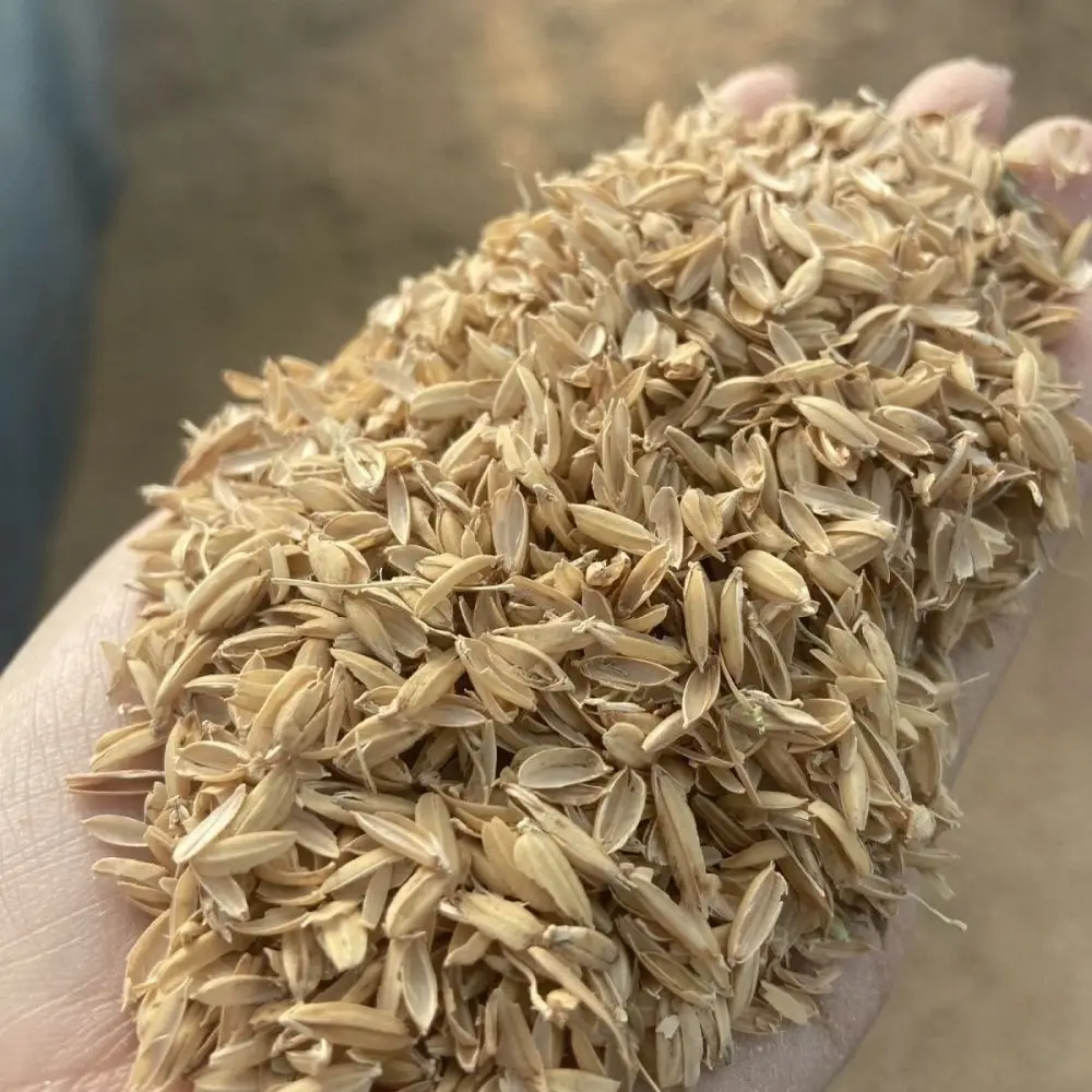 Sustainable Rice Husk Fillers For Pillows Organic Pet Bedding Garden Mulch Brewing Fermentation Material Bulk