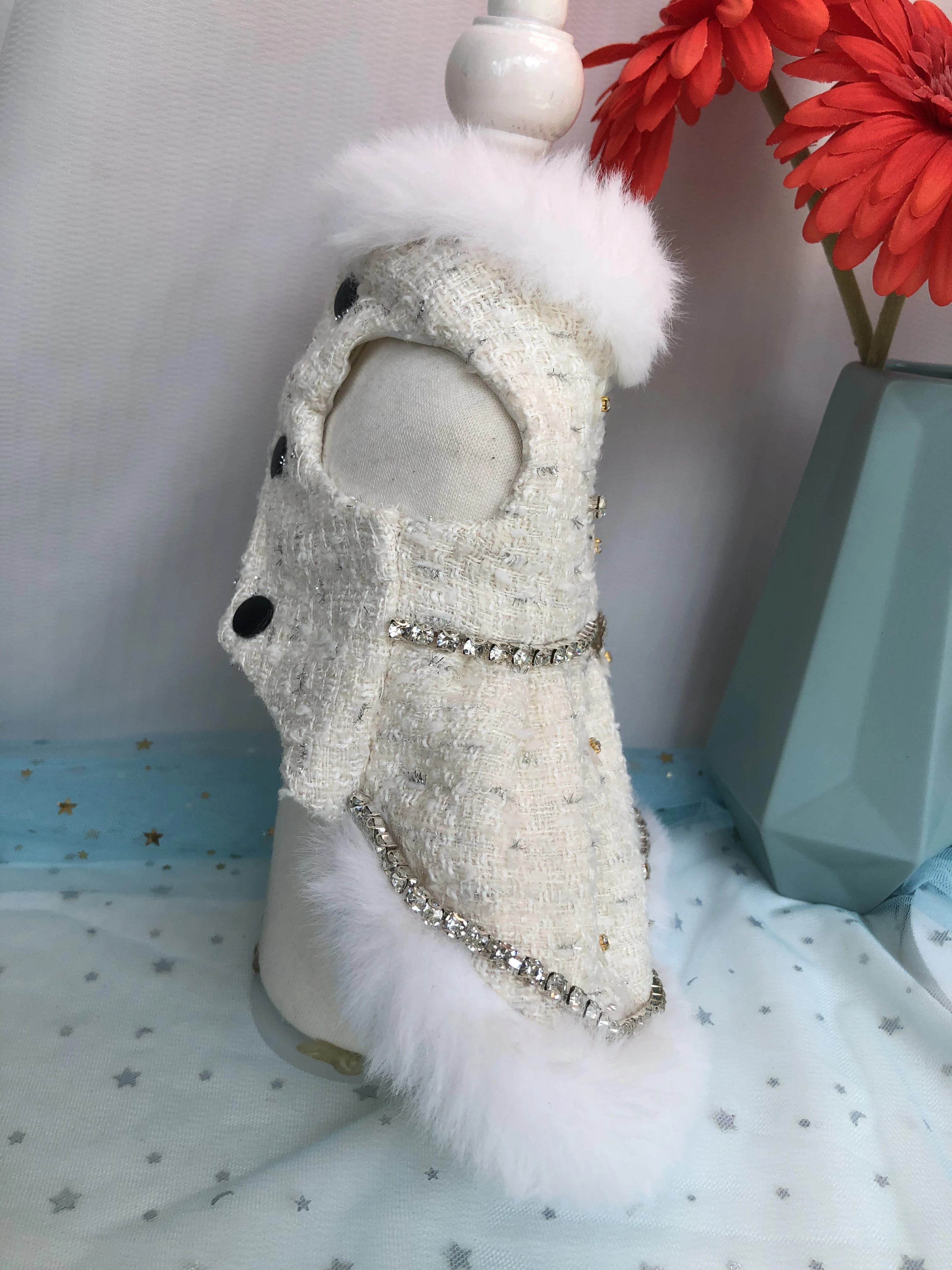 Handmade Fleece Lined Princess Dress for Small Dogs Cat Teddy Autumn Winter Warm Wedding Dress Cute Ins Style Pet Clothes
