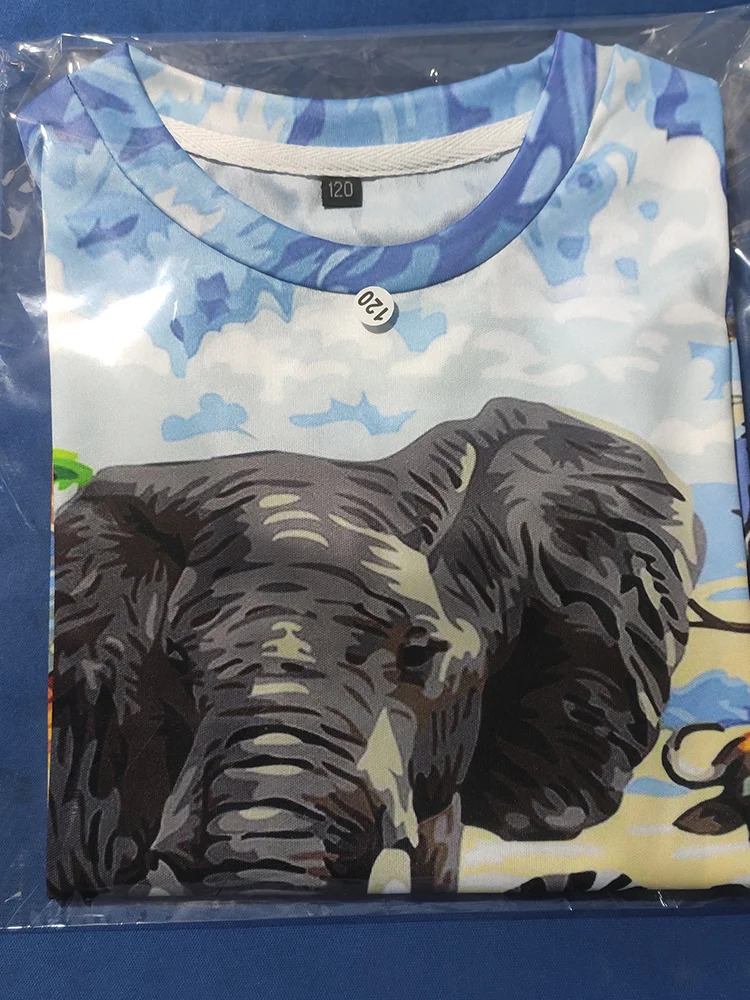 3-14 Jahre Baby Jungen Dinosaurier T-Shirt Kinderkleidung Kinderkleidung Jungen Mädchen T-Shirt Sommer Cartoon Tops Kurzarm-T-Shirts – Detail 5