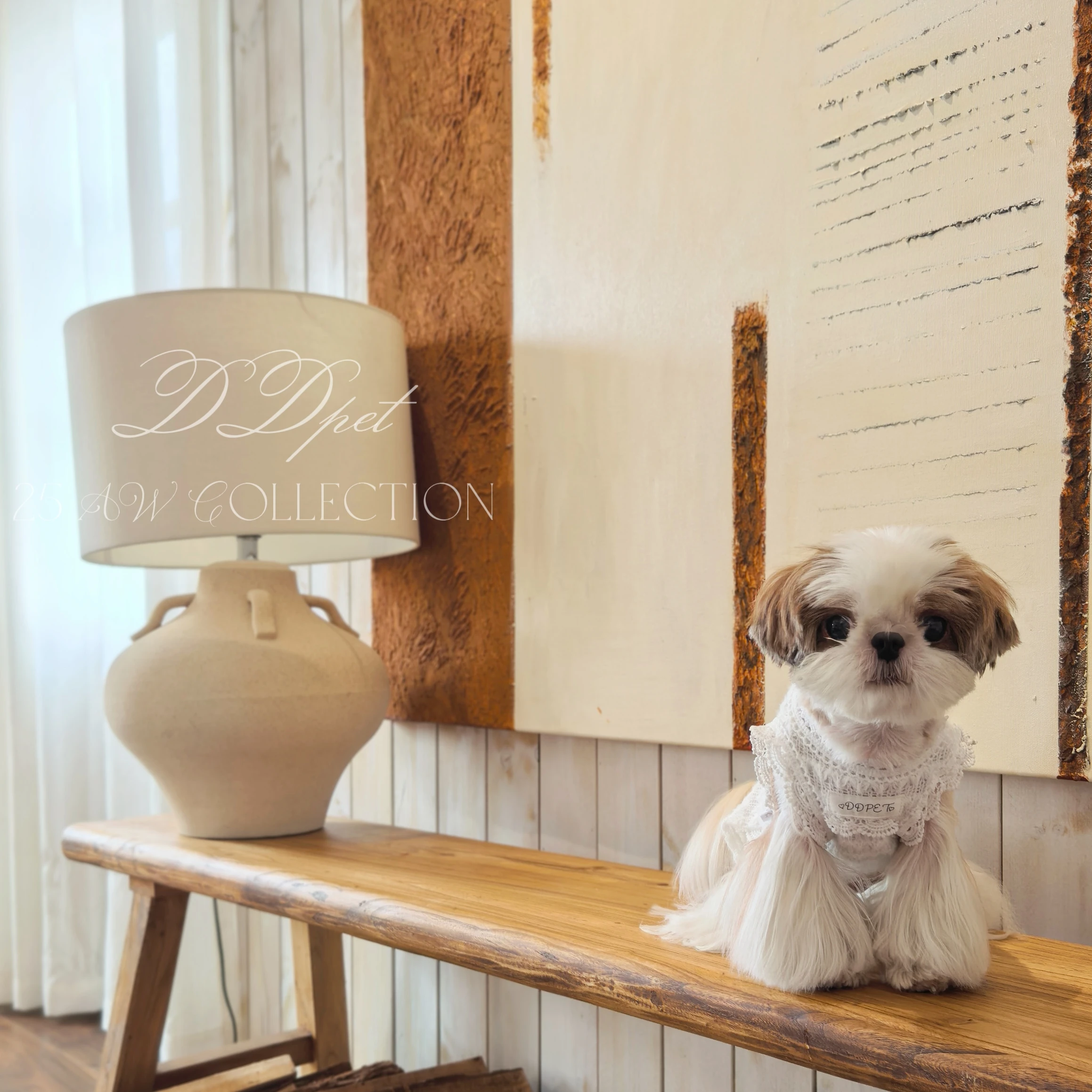 Princ Sle Lace Dog …