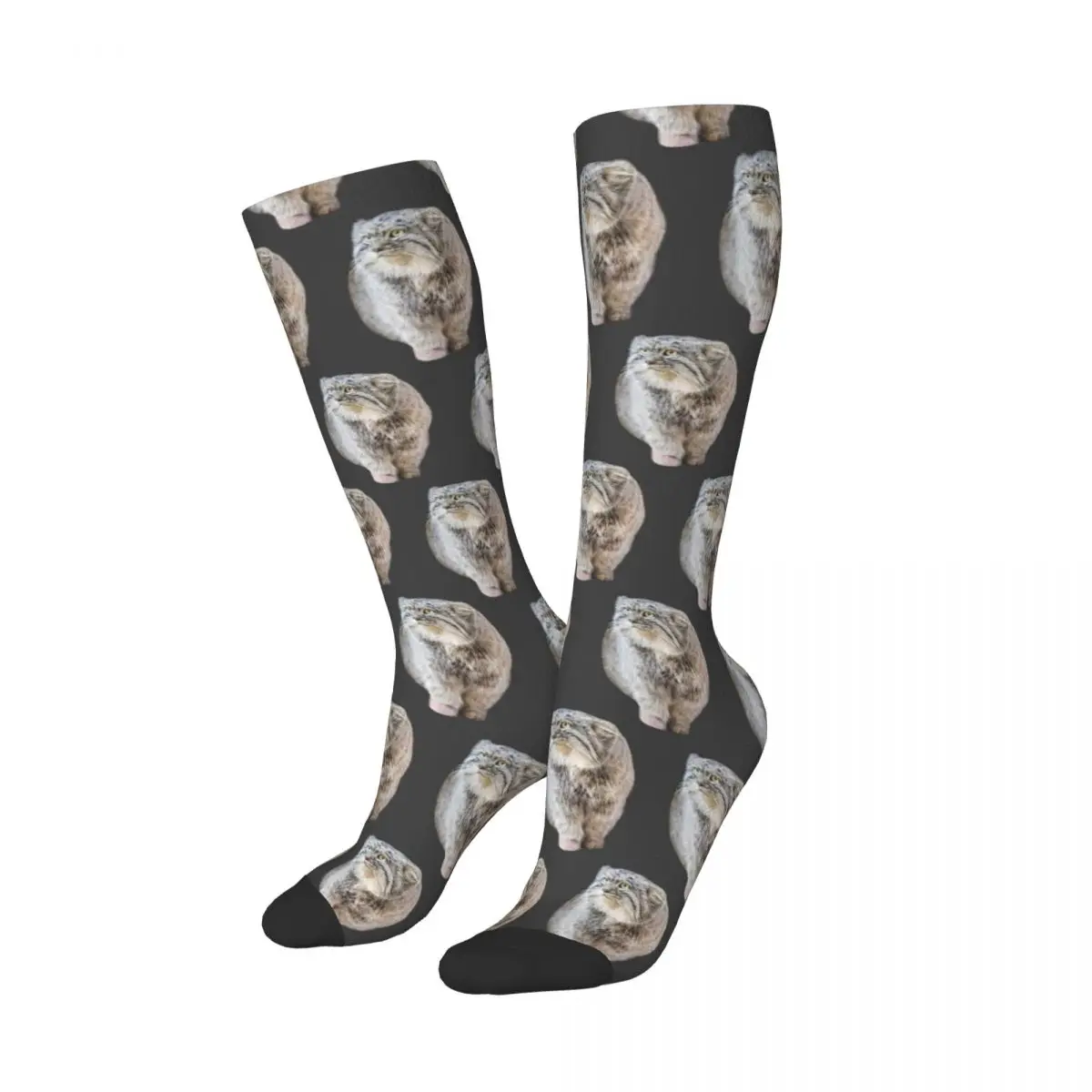 Round Pallas Cat Socks Harajuku Stockings All Season Long Socks Accessories for Man Woman Birthday Present