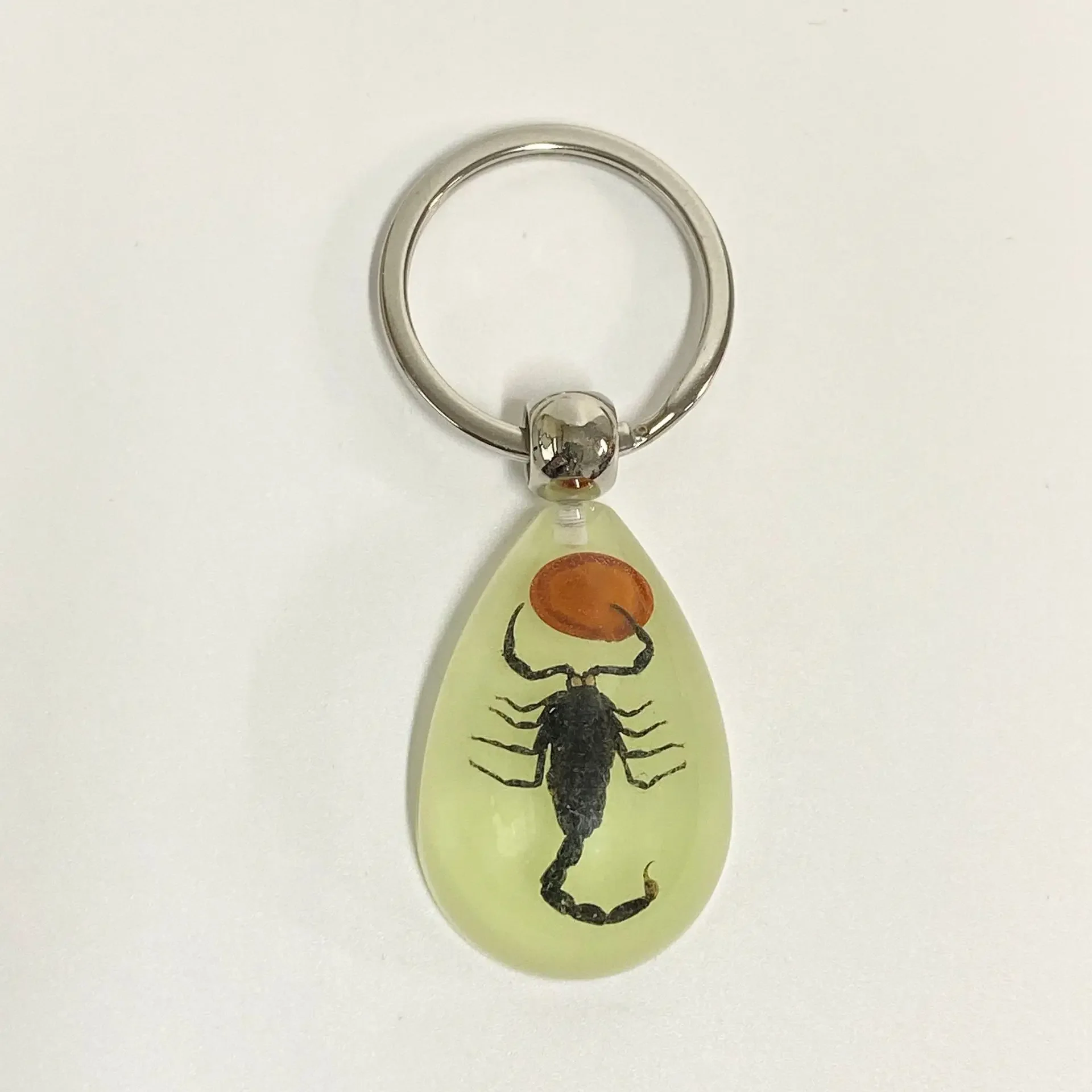 6 stuks insect specimen sleutelhanger, kunstmatige epoxyhars auto hanger, kantoorornament, insect amber hanger woondecoratie - afbeelding 1