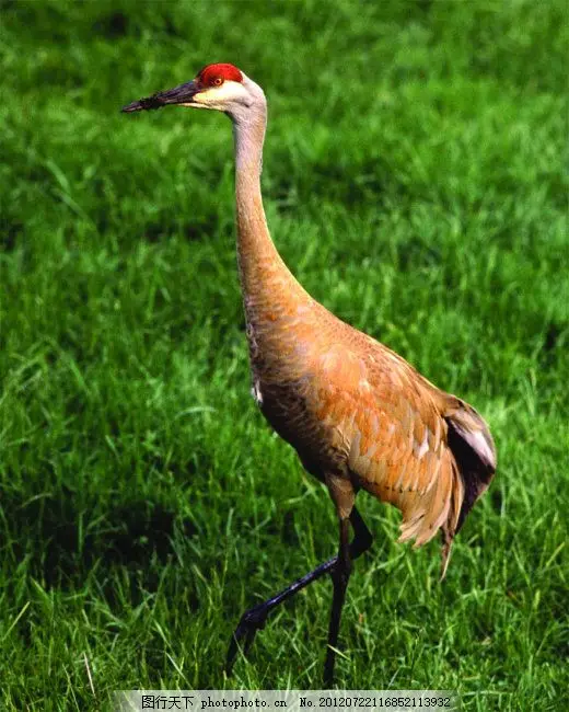 

For TAMIYA XV02 TT02 TT02B 1/10 RC Car Upgrade Parts Differential Teeth Shell +Ring Gear & Bevel Gear Kit