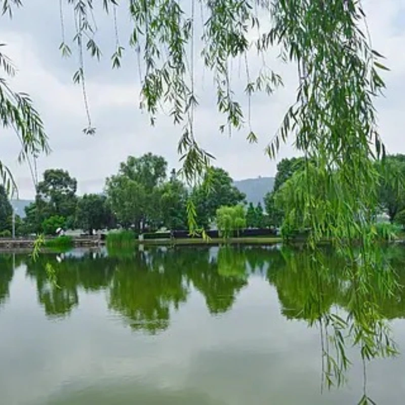 

JX PDI-HV9050MG 50KG 160 Degree Angle High Precision Metal Gear Digital Standard Servo Motor Robot UAV Hobby Education