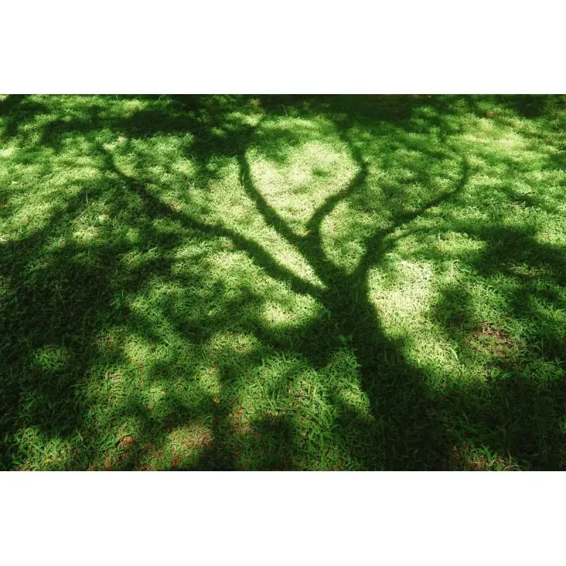 SK120X Cnc Dc 6-36V…