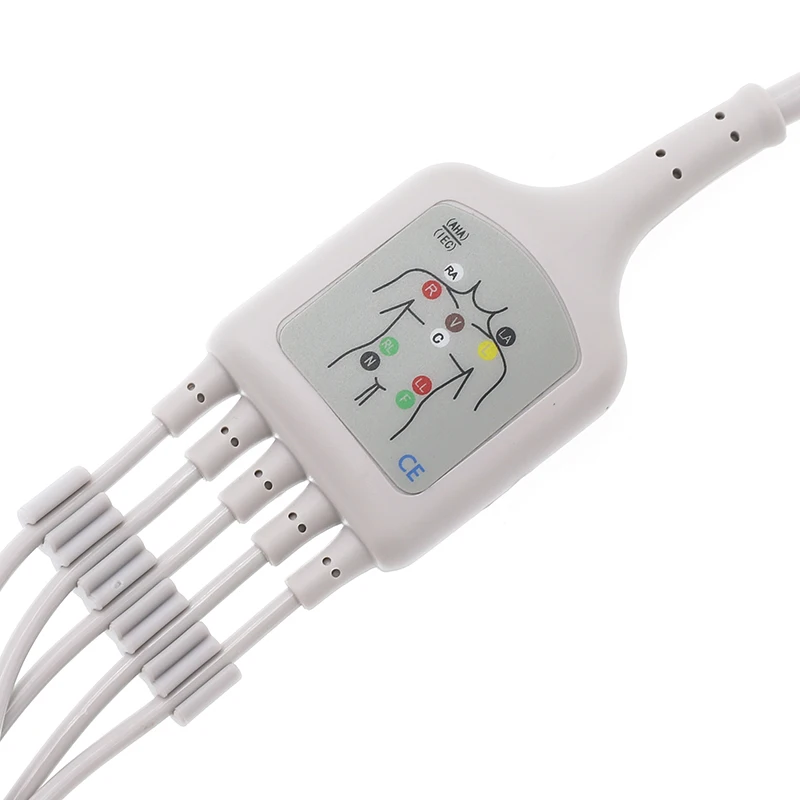 Universal 5-Lead ECG Leads with 6-Pin Connector for Patient Monitors