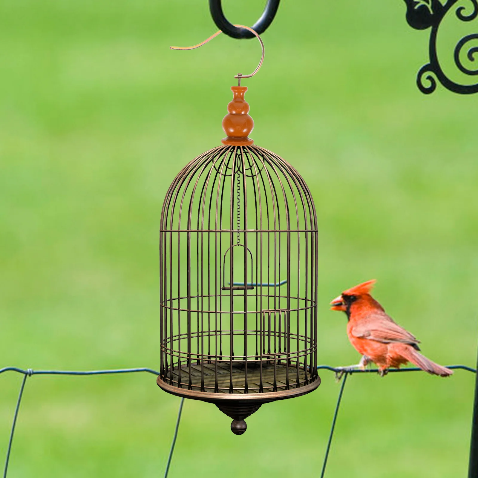 

2Pcs Quick Install Vintage Bird Cage Hook Top Mounted Heavy Duty Hanger for Home Decor Top Mounted Vintage Bird Cage Hook