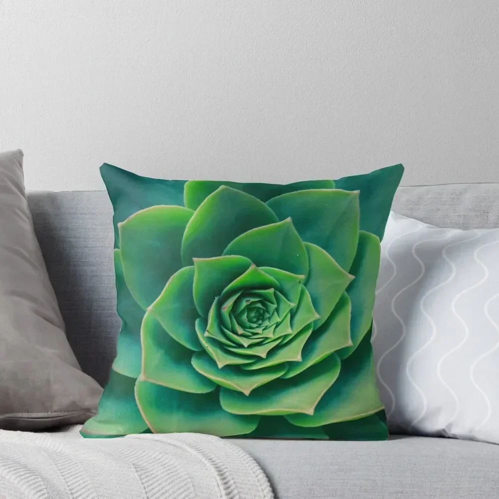 

Plant print, Cacti, Cactus print, Scandinavian print, Scandinavian, Trendy Styled, Scandinavian art, Modern art, Wa Throw Pillow