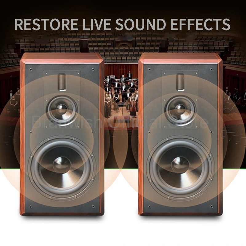 250W 10 Inch Bookshelf Speakers Three-Way Fever Hifi Home Theater System Music Wooden Sound Equipment Amplifiers Passive Speaker