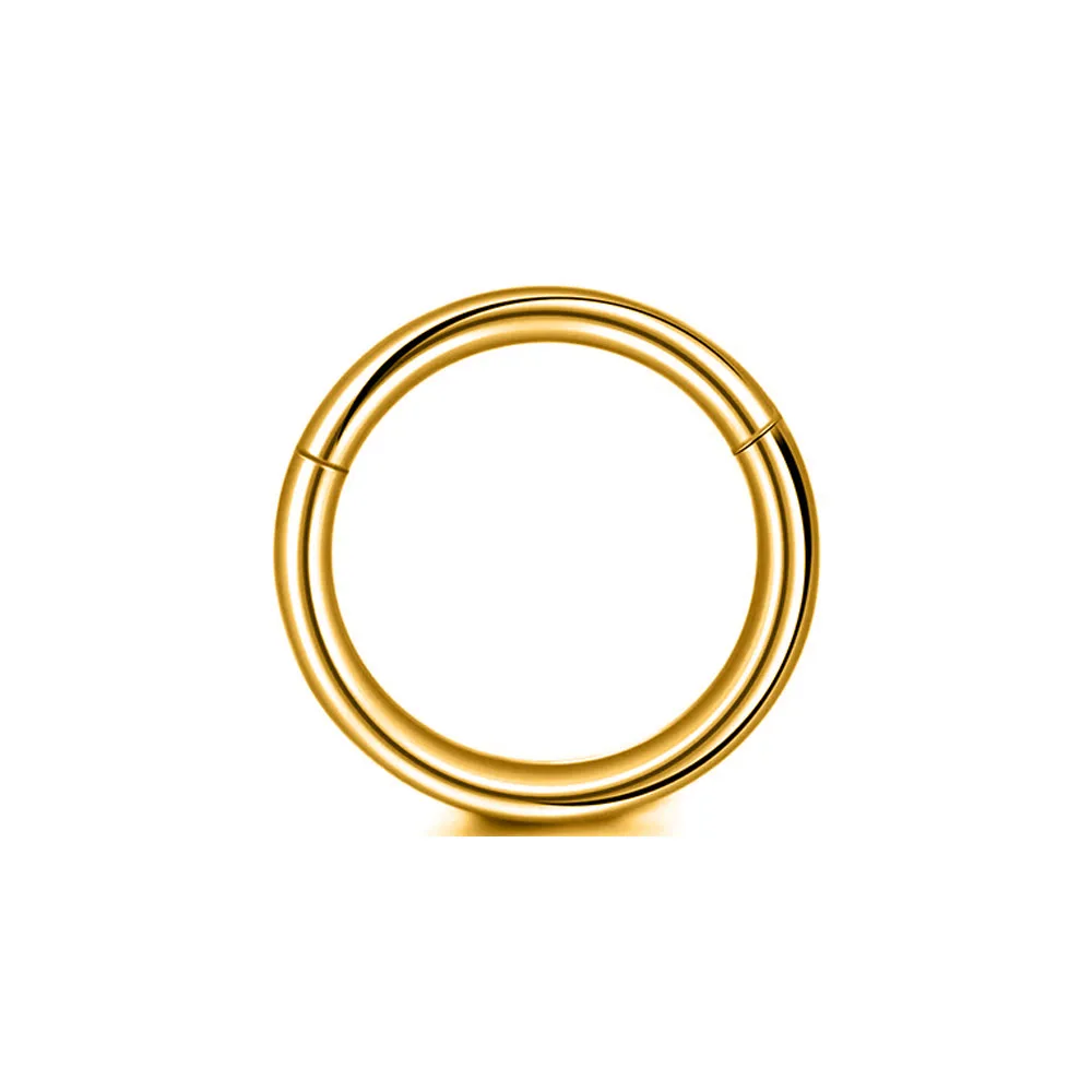G23 Titanium Hinged Segment Rings for Piercing