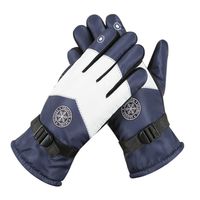 Multicolor Winter Ski Gloves Waterproof Windproof Touch Screen Gloves Fleece Thermal Ultralight Warm Mittens