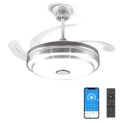 Fan Ceiling Light Remote Control Dimming LED Ceiling Fan With Lights E27 24W/30W/40W/80W For Home Living Room Inoor Lighting