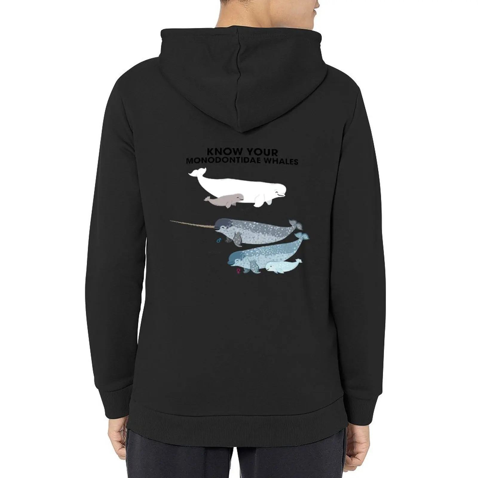 

Know Your Monodontidae Whales Hoodie japanese style men's winter sweater korean clothes clothes for men new hooded tee