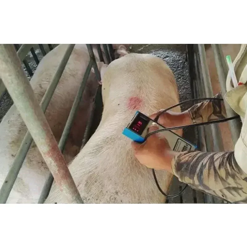 Precision Pig Back Fat Detector Farm Animal Measurement Tool Essential Livestock Equipment for Agriculture