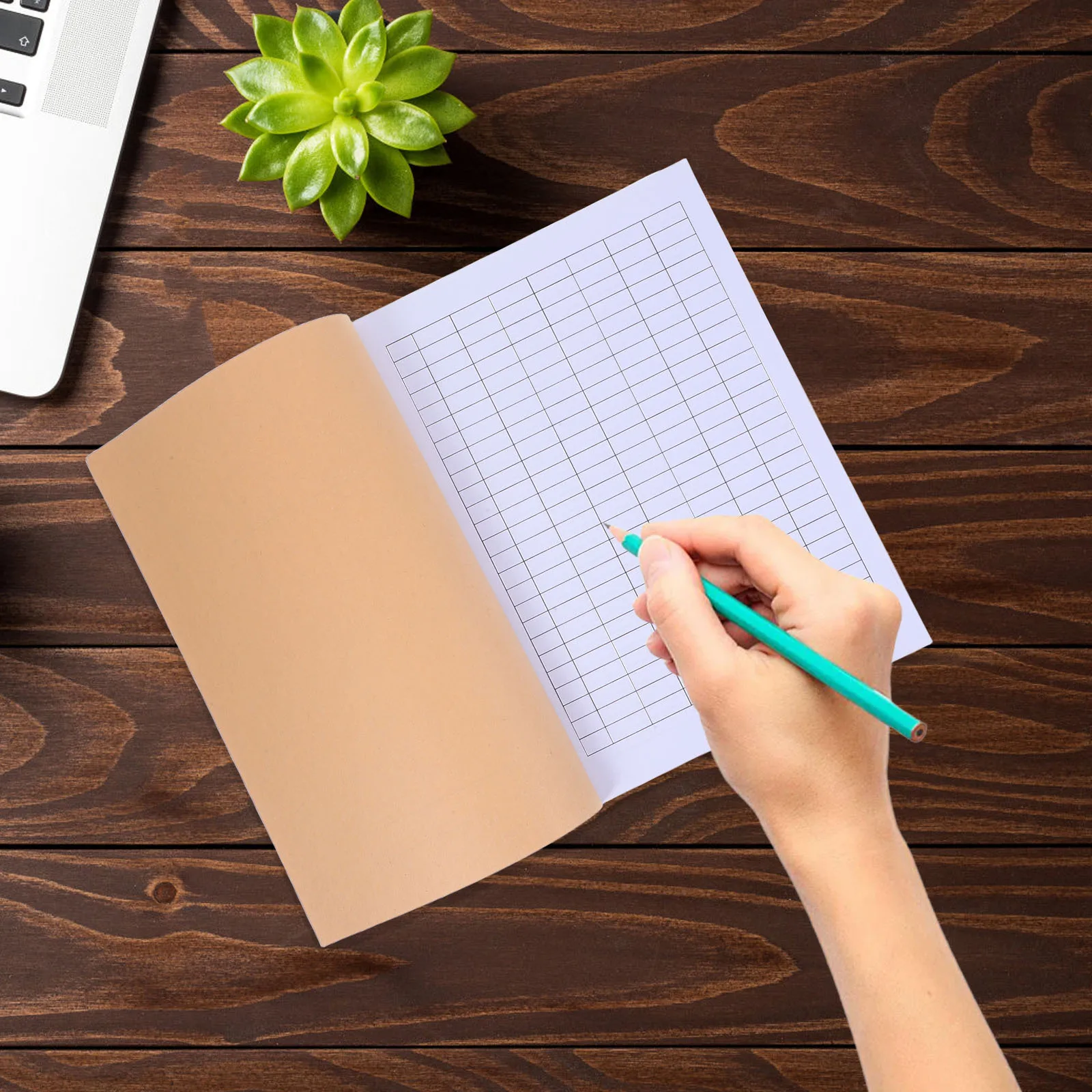 Diario di contabilità aziendale Log di ingresso dettagliato per il monitoraggio degli inventari Gestione finanziaria Pianificatore di budget dal design elegante