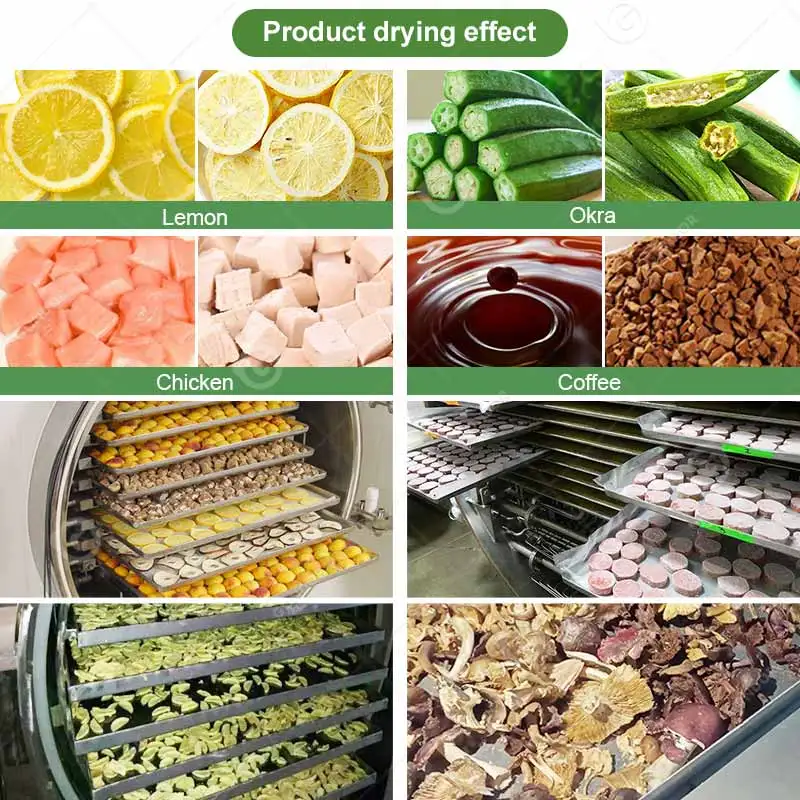 Food Grade Liofilizador Dried Lyophilization Chrimp Freeze Dryer Production Fruit Drying Equipo Equipment Customized